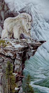 Mountain goat a painting entitled "Above& beyond" by Judi Wild