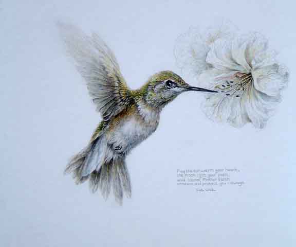 "Hummingbird/Courtenay Lady" by Judi Wild