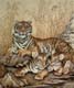 Siberian Tigers by Judi Wild